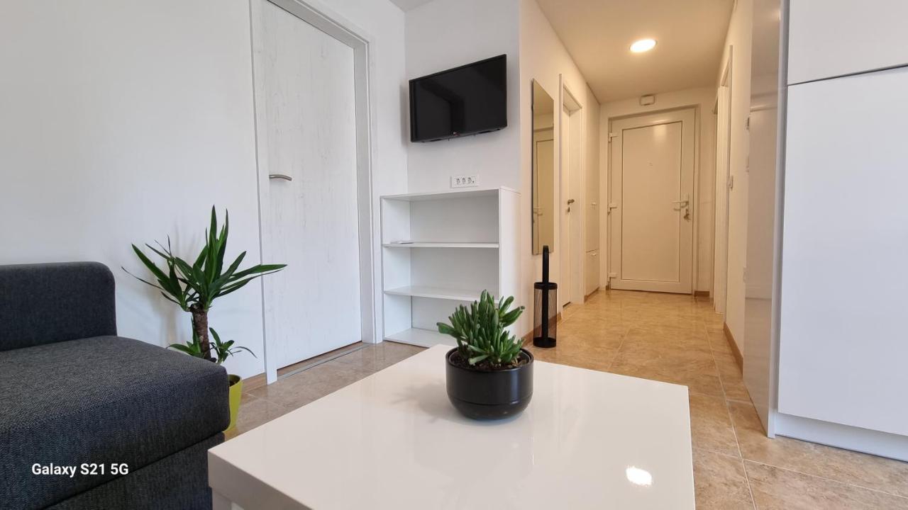 Apartment Rivarela Blu - Newly Renovated And Top Location Near Sea Novigrad Istria Exterior foto